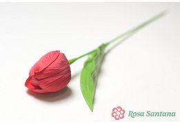  КАПЕНА Одиночный тюльпан (1200) микс 