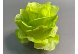  Роза 