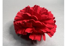  Гвоздика бархатная 513 