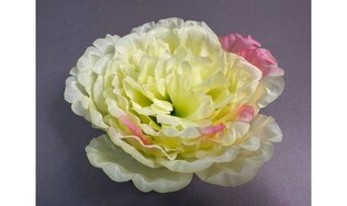 Пион Сезам 132/42