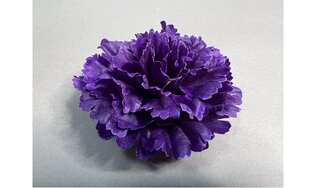 Гвоздика Аврора 87/92