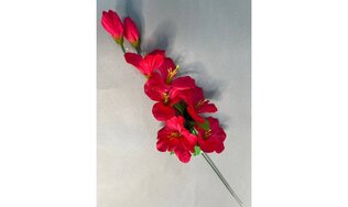 Ветка гладиолуса ритуальная с листом ЛВ23/8