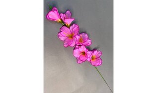 Ветка гладиолуса ритуальная ЛВ22/15