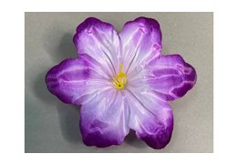  Клематис большой атласный  105/28 