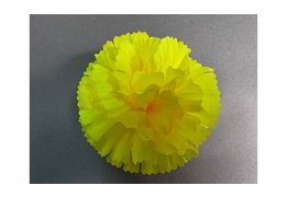  Гвоздика средняя 13/5 