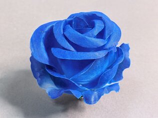 Бутон раскрытый 17