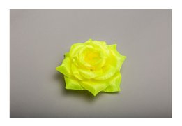  Роза большая атлас 24/1 