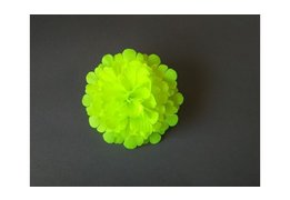  Гвоздика декоративная 82/1 