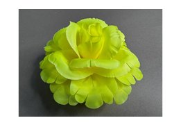  Роза раскрытая 