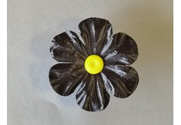  Примула атласная 19/1 