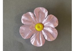  Примула атласная 19 