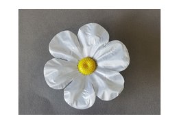  Примула атласная 19/538 