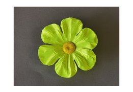  Примула атласная 19/501 