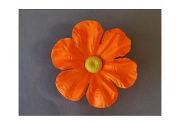  Примула атласная 19/580 