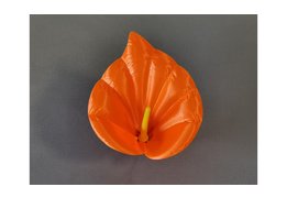  Калла средняя 31/580 
