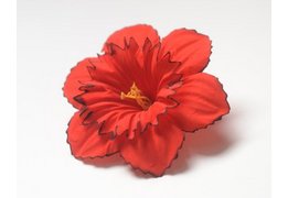  Слои нарцисс бархатный для ветки, венка красный с черным кантом 