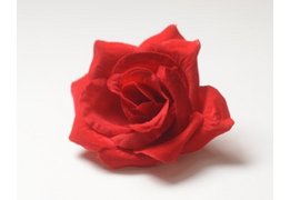  Голова розы бархатная для ветки, венка красный 