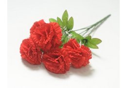  Ветка в букете гвоздика 5 голов (1010237) красный 