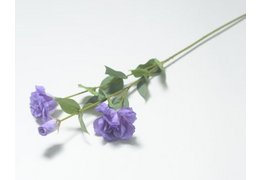  Ветка эустома 3 головы (1010237) 
