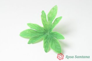 Слои листа пиона для венка