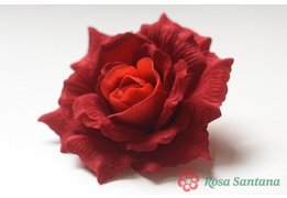  КРАСОТКА голова розы бархатная (120) 