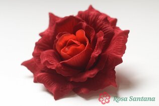 КРАСОТКА голова розы бархатная (120)