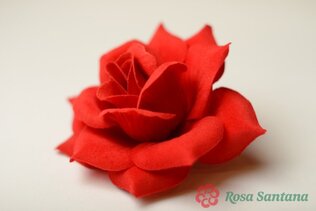 СИБИРЬ голова розы  малой бархатной (160) красный