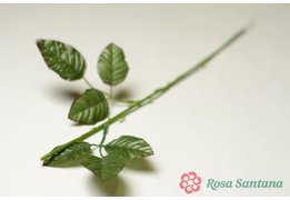 РОНАЛЬДО стебель от розы 2 листа, 45см ( 800) без расцветки 