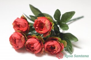 ХИКЛИНГ Букет пионов 6 голов (600)