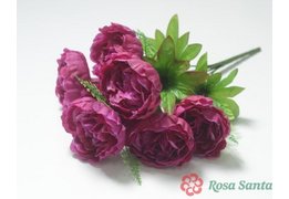 ПАЙС Букет пиона 7 голов (50) 