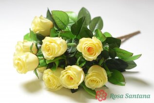 ТРЕНТ Букет бутонов роз 9 голов(50)