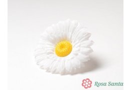  ЯНА голова ромашки (5000) 