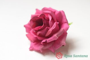АЛЛИН Голова розы