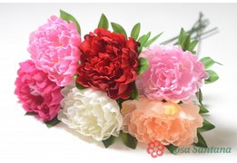  КАНАЦЕЙ Одиночный пион (разобранный) микс 