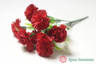 БАРБРУК Букет гвоздики 7 гол.+ 3 бут.(180)
