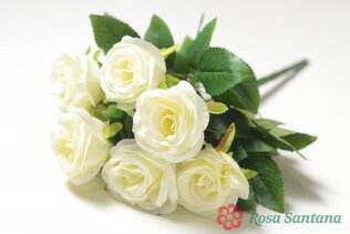 ИНВЕРУРИ Букет бутонов роз 7 голов (100)