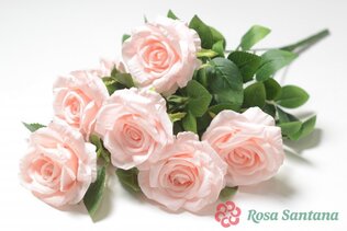 ВАЛОНГУ Букет роз 7 голов (60)