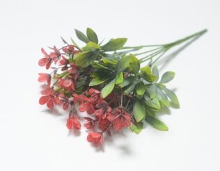 АЛИКСАН Букет зелени 5 веток(200)
