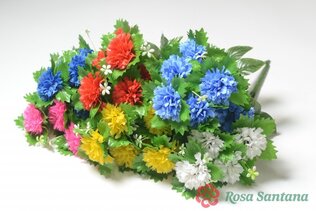 Букет гвоздики 6 голов (120) микс