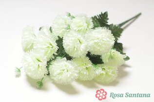 Букет гвоздики 13 голов(60)
