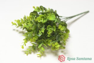 Букет зелени брусничник