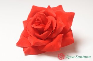 Роза бархатная крупная (80) красный