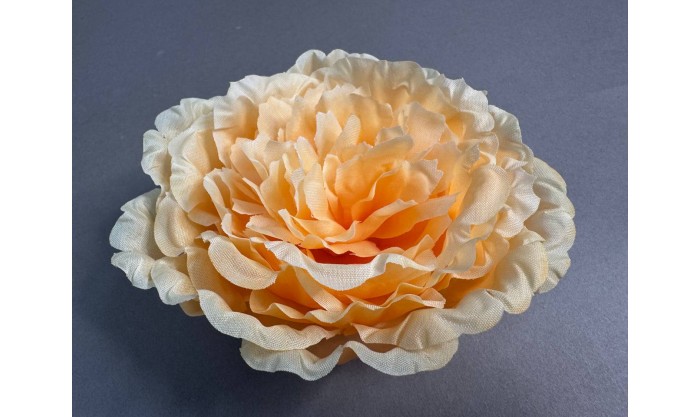 Пион Сезам 132/2